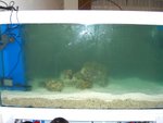 �s���]�m 11