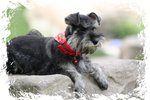 IMG_1193