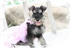 IMG_1299