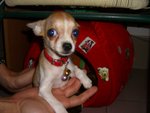 Cimg0843