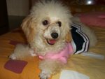 Cimg0838