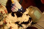 IMG_0019