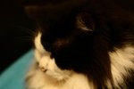 IMG_0040