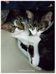 DSCF0335
