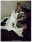 DSCF0337