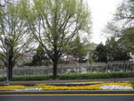 P1050769