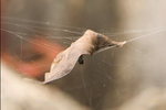 CRW_0005