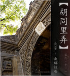 wutong01_fotop