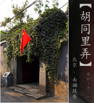 wutong10_fotop