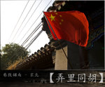 wutong12_fotop