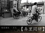 wutong15_fotop