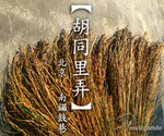 wutong_icon_fotop