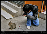 Cat at Central 2