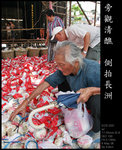 cheungchau23