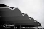 Sharon_pier-2