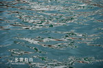 Sharon_pier-4