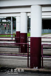 Sharon_pier-6