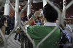 IMG_6529 copy