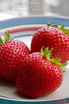 ed_berry02_web