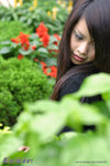 7797