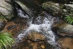 IMG_2487