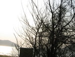 IMG_0065