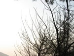 IMG_0066