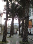 DSC00085