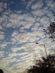 DSC00088