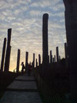 DSC00091