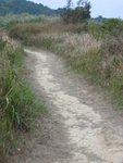 IMG_0205