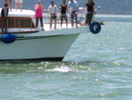 IMG_0033
