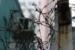 IMG_8043