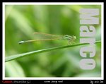 
�L�Z�@�ɨt�C (21)