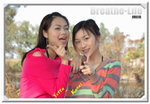 �V��n�ͳ�Yetta & Kanas
