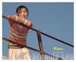 �V��n�ͳ�Kanas 