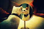 Snow white?  Snow cat?