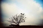 Taipei's Winter