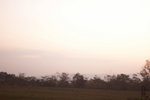 IMG_4210