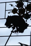 IMG_0057