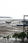 IMG_7491
