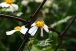 IMG_7500