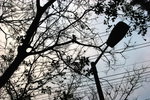 IMG_6782