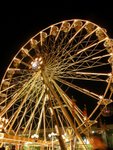 DSCN0648