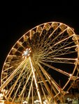 DSCN0649