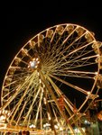 DSCN0651