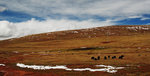 DSC_1937