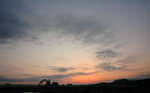 DSC_6590