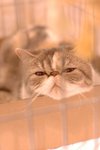 DSC_8465(455x670)