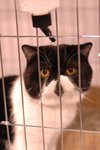 DSC_8472(455x670)
